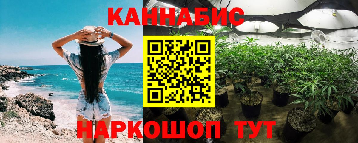 Конопля VHQ  Марихуана MAZAR  Канабис план  Бошки Шишки сатива  Вход с VPN  Касимов 
